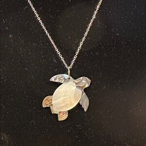 Mother of Pearl and Abalone Turtle Pendant Necklace on a Black resin back.